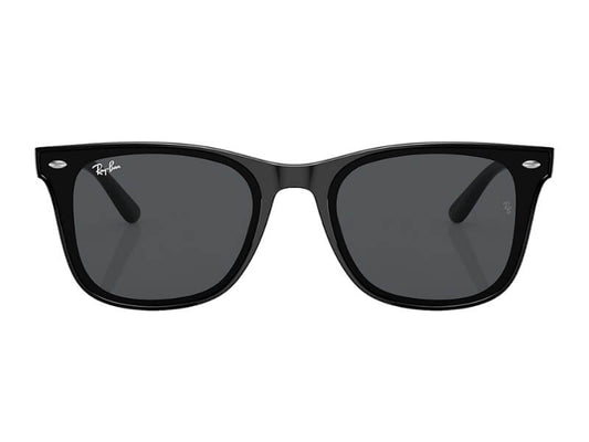 Gafas Wayfarer Mate