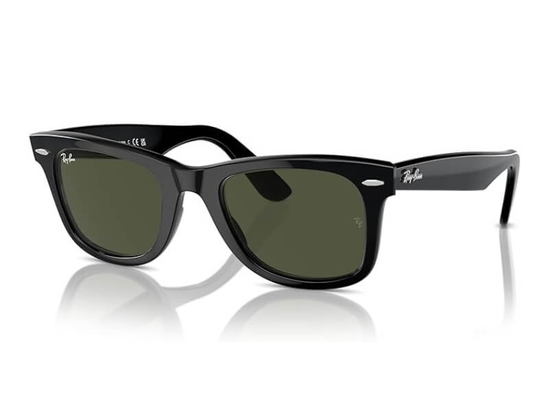 Gafas Wayfarer Brillantes 2025