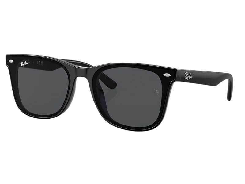 Gafas Wayfarer Mate