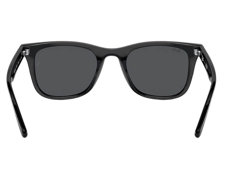 Gafas Wayfarer Mate