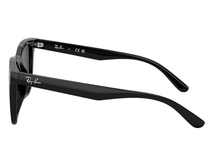 Gafas Wayfarer Mate